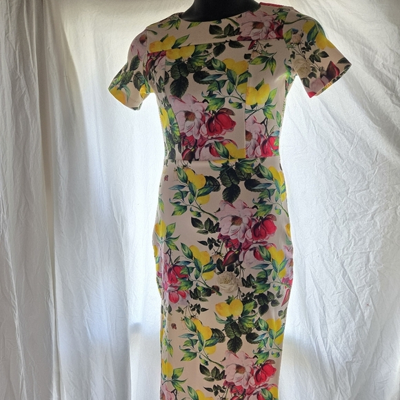 Beautiful Lemon Rose Dress - Picture 6 of 12